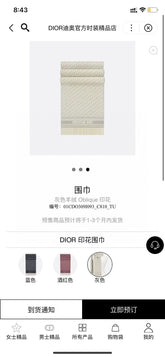 China Replica Dior Scarf 46usd Only